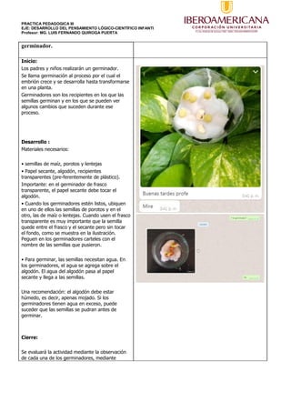 PRACTICA PEDAGOGICA III
EJE: DESARROLLO DEL PENSAMIENTO LÓGICO-CIENTÍFICO INFANTI
Profesor: MG. LUIS FERNANDO QUIROGA PUERTA
germinador.
Inicio:
Los padres y niños realizarán un germinador.
Se llama germinación al proceso por el cual el
embrión crece y se desarrolla hasta transformarse
en una planta.
Germinadores son los recipientes en los que las
semillas germinan y en los que se pueden ver
algunos cambios que suceden durante ese
proceso.
Desarrollo :
Materiales necesarios:
• semillas de maíz, porotos y lentejas
• Papel secante, algodón, recipientes
transparentes (pre-ferentemente de plástico).
Importante: en el germinador de frasco
transparente, el papel secante debe tocar el
algodón.
• Cuando los germinadores estén listos, ubiquen
en uno de ellos las semillas de porotos y en el
otro, las de maíz o lentejas. Cuando usen el frasco
transparente es muy importante que la semilla
quede entre el frasco y el secante pero sin tocar
el fondo, como se muestra en la ilustración.
Peguen en los germinadores carteles con el
nombre de las semillas que pusieron.
• Para germinar, las semillas necesitan agua. En
los germinadores, el agua se agrega sobre el
algodón. El agua del algodón pasa al papel
secante y llega a las semillas.
Una recomendación: el algodón debe estar
húmedo, es decir, apenas mojado. Si los
germinadores tienen agua en exceso, puede
suceder que las semillas se pudran antes de
germinar.
Cierre:
Se evaluará la actividad mediante la observación
de cada una de los germinadores, mediante
 