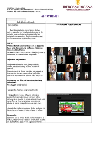 PRACTICA PEDAGOGICA III
EJE: DESARROLLO DEL PENSAMIENTO LÓGICO-CIENTÍFICO INFANTI
Profesor: MG. LUIS FERNANDO QUIROGA PUERTA
Individuales y Grupales
Las plantas.
Querido estudiante, con el apoyo de tus
padres o acudientes lee el siguiente material de
estudio, para posteriormente desarrollar las
actividades propuestas. Puedes complementar
con los videos que sugiere el docente:
EVIDENCIAS FOTOGRAFICAS
Inicio:
Utilizando la herramienta Zoom, la docente
hace una clase remota en la que hace una
introducción al tema:
La docente hace un sondeo del concepto plantas y
finalmente da una definición de plantas
¿Que son las plantas?
Las plantas son seres vivos, porque nacen,
crecen, se reproducen y mueren. Nacen de
semillas.
Posteriormente le dice a los niños que usando la
imaginación piensen en su animal preferido,
puede ser su mascota si quieren y les pregunta
Cuáles son las diferencias entre plantas y
animales?:
Concluyen entre todos:
•Las plantas fabrican su propio alimento
• No pueden moverse: si hay un peligro no
pueden huir: por ejemplo, si viene un león a
comerse a un conejo, el conejo sale corriendo y se
salva. Pero si viene una vaca a comerse una
planta, la planta no puede moverse para huir.
•Las plantas no tienen órganos de los sentidos: no
tienen tacto, ni gusto, ni oído, ni vista ni olfato.
Desarrollo :
Los niños con la ayuda de los padres realizarán la
lectura, observarán el video de la temática, puesto
en la plataforma class room y posteriormente
 