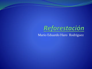 Mario Eduardo Haro Rodríguez
 