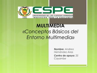 MULTIMEDIA 
«Conceptos Básicos del 
Entorno Multimedia» 
Nombre: Andrea 
Hernández Arias 
Centro de apoyo: 35 
Cayambe 
 