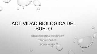 ACTIVIDAD BIOLOGICA DEL
SUELO
FRANCIS RIATIGA RODRÍGUEZ
YANDHI TORRES

DORIS PEREA

 