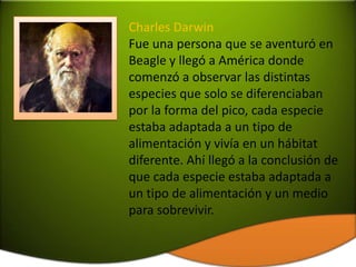 Charles Darwin
Fue una persona que se aventuró en
Beagle y llegó a América donde
comenzó a observar las distintas
especies que solo se diferenciaban
por la forma del pico, cada especie
estaba adaptada a un tipo de
alimentación y vivía en un hábitat
diferente. Ahí llegó a la conclusión de
que cada especie estaba adaptada a
un tipo de alimentación y un medio
para sobrevivir.
 