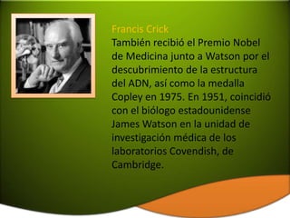 Francis Crick
También recibió el Premio Nobel
de Medicina junto a Watson por el
descubrimiento de la estructura
del ADN, así como la medalla
Copley en 1975. En 1951, coincidió
con el biólogo estadounidense
James Watson en la unidad de
investigación médica de los
laboratorios Covendish, de
Cambridge.
 