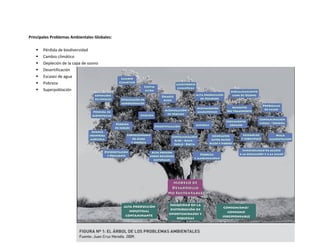 Principales Problemas Ambientales Globales:
 Pérdida de biodiversidad
 Cambio climático
 Depleción de la capa de ozono
 Desertificación
 Escasez de agua
 Pobreza
 Superpoblación
 