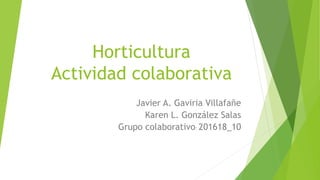 Horticultura
Actividad colaborativa
Javier A. Gaviria Villafañe
Karen L. González Salas
Grupo colaborativo: 201618_10
 