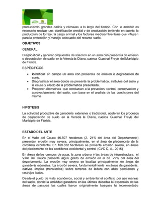 produciendo grandes daños y cárcavas a lo largo del tiempo. Con lo anterior es
necesario realizar una planificación predial y de producción teniendo en cuenta la
producción de forraje, la carga animal y los factores medioambientales que influyen
para la protección y manejo adecuado del recurso suelo.
OBJETIVOS
GENERAL
Diagnosticar y generar propuestas de solucion en un area con presencia de erosion
o degradacion de suelo en la Vereda la Diana, cuenca Guachal Frayle del Municipio
de Florida.
ESPECIFICOS
 Identificar en campo un area con presencia de erosion o degradacion de
suelo.
 Diagnosticar el area donde se presenta la problematica, atributos del suelo y
la causa y efecto de la problematica presentada.
 Proponer alternativas que conduzcan a la prevecion, control, conservacion y
aprovechamiento del suelo, con base en el analisis de las condiciones del
mismo
HIPOTESIS
La actividad productiva de ganadería extensiva o tradicional, aceleran los procesos
de degradación de suelo en la Vereda la Diana, cuenca Guachal Frayle del
Municipio de Florida.
ESTADO DEL ARTE
En el Valle del Cauca 46.507 hectáreas (2, 24% del área del Departamento)
presentan erosión muy severa, principalmente, en el área de piedemonte de la
cordillera occidental. En 169.832 hectáreas se presenta erosión severa, en áreas
del piedemonte de las cordilleras occidental y central (CVC C. A., 2015)
En áreas de los cuerpos de agua, la zona urbana y las áreas de infraestructura, el
Valle del Cauca presenta algún grado de erosión en el 83, 22% del área del
departamento. La erosión muy severa se localiza principalmente en áreas de
ganadería extensiva. La erosión severa, fundamentalmente en áreas de ganadería,
cultivos limpios (transitorios) sobre terrenos de ladera con altas pendientes y
rastrojos bajos.
Desde el punto de vista económico, social y ambiental el conflicto por uso manejo
del suelo, donde la actividad ganadera en las últimas décadas la expansión de las
áreas de pasturas las cuales fueron originalmente bosques ha incrementado
 