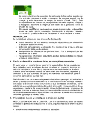 de potrero disminuye la capacidad de resiliencia de los suelos puesto que
Los animales pisotean el suelo y consumen la biomasa vegetal que lo
protege, y esto incrementa el riesgo de erosión (Strunk, 2003). Esto
acompañado de los factores de susceptibilidad del suelo según su litología y
la topografía determina la magnitud del efecto de la ganadería sobre la
erosión del suelo.
- Otra causa es el Manejo inadecuado de aguas de escorrentía, en la cual las
aguas no están siendo evacuadas directamente a drenajes naturales
concentrando grandes volúmenes de agua en la parte media de la ladera.
METODOLOGIA
La metodología utilizada en este proceso fue la siguiente:
 Salida de campo. Se hizo recorrido donde por inspección ocular se identificó
la situación actual del mismo
 Entrevista con propietario y colindante. Por medio del voz a voz, se sito una
conversación fluida con los actores
 Recopilación de información de primera mano. Fue la entregada por los
habitantes de la zona
 Recopilación de información secundaria. Lectura de las unidades del módulo
y visitas a otros medios.
4. Razón por la cual los problemas deben ser corregidos o manejados
El suelo juega un importantísimo papel en la sostenibilidad de los ecosistemas
tanto naturales como agrarios en los que constituye un reservorio temporal en
del ciclo del agua a la que filtra y depura en su recorrido hacia los acuíferos.
Además sirve de soporte a todos los seres vivos del ecosistema, vegetales y
animales, a los que suministra el agua y los nutrientes que necesitan para el
desarrollo completo de su ciclo vital.
Dado lo anterior se hace necesario generar alternativas que vayan encaminadas a
el uso y manejo adecuado del suelo y a la conservación de los recursos naturales
sin afectar el bienestar de las comunidades y sus actividades productivas, por lo
anterior es necesario tomar medidas de control, prevención y recuperación de áreas
degradadas, mediante la implementación obras de Bioingeniería, protección de
cobertura boscosa, y sistemas de producción sostenibles como el establecimiento
de Sistemas silvopastoriles y agroforestales que permitan aumentar la conectividad
ambiental y proteger el recurso suelo.
5. Propuesta de manejo y control para la erosión de suelos
MEDIDAS DE MITIGACION Y CONTROL. Con el fin de disminuir y evitar los efectos
adversos de por la actividad ganadera al suelo, algunas medidas a tener en cuenta
serian:
 Evitar el corte indiscriminado y extensivo de arboles
 