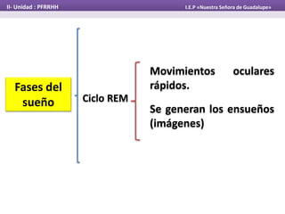 Fases del
sueño Ciclo REM
Movimientos oculares
rápidos.
II- Unidad : PFRRHH I.E.P «Nuestra Señora de Guadalupe»
Se generan los ensueños
(imágenes)
 