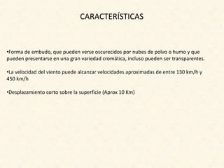 CARACTERÍSTICAS
•Forma de embudo, que pueden verse oscurecidos por nubes de polvo o humo y que
pueden presentarse en una gran variedad cromática, incluso pueden ser transparentes.
•La velocidad del viento puede alcanzar velocidades aproximadas de entre 130 km/h y
450 km/h
•Desplazamiento corto sobre la superficie (Aprox 10 Km)
 