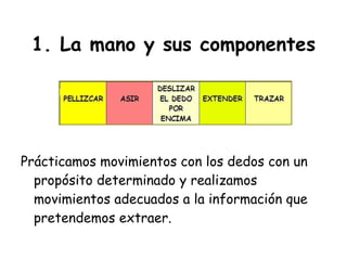   1. La mano y sus componentes  Prácticamos movimientos con los dedos con un propósito determinado y realizamos movimientos adecuados a la información que pretendemos extraer.  
