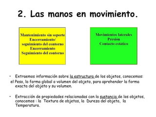 2. Las manos en movimiento. Extraemos información sobre  la estructura  de los objetos, conocemos:  el Peso, la forma global o volumen del objeto, para aprehender la forma exacta del objeto y su volumen. Extracción de propiedades relacionadas con la  sustancia  de los objetos, conocemos : la  Textura de objetos, la  Dureza del objeto,  la Temperatura. 