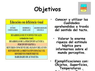 Objetivos Conocer y utilizar las Cualidades aprehendidas a través del sentido del tacto. Valorar la enorme riqueza del estimulo háptico para informarnos sobre el mundo perceptivo. Ejemplificaciones con: Objetos, Superficies, Temperaturas , Substancias, Eventos. 