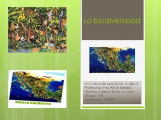 La biodiversidad
Actividad de aplicación etapa 4
Profesora: Irma Alicia Barajas
Alumna: Loredo Tovar Victoria
Grupo: 118
Matricula: 1744893
 