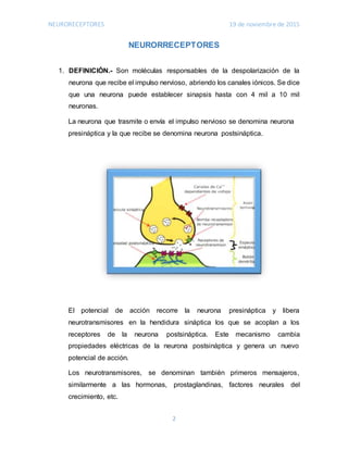 NEURORECEPTORES 19 de noviembre de 2015
2
NEURORRECEPTORES
1. DEFINICIÓN.- Son moléculas responsables de la despolarización de la
neurona que recibe el impulso nervioso, abriendo los canales iónicos. Se dice
que una neurona puede establecer sinapsis hasta con 4 mil a 10 mil
neuronas.
La neurona que trasmite o envía el impulso nervioso se denomina neurona
presináptica y la que recibe se denomina neurona postsináptica.
El potencial de acción recorre la neurona presináptica y libera
neurotransmisores en la hendidura sináptica los que se acoplan a los
receptores de la neurona postsináptica. Este mecanismo cambia
propiedades eléctricas de la neurona postsináptica y genera un nuevo
potencial de acción.
Los neurotransmisores, se denominan también primeros mensajeros,
similarmente a las hormonas, prostaglandinas, factores neurales del
crecimiento, etc.
 