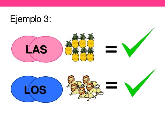 Concordancia De Genero Y Numero Back Gyoc
