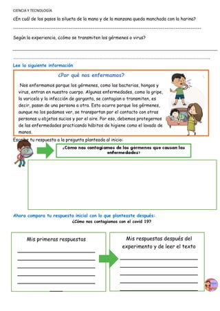 CIENCIA Y TECNOLOGÍA
¿En cuál de los pasos la silueta de la mano y de la manzana queda manchada con la harina?
------------------------------------------------------------------------------------------------------
Según la experiencia, ¿cómo se transmiten los gérmenes o virus?
……………………………………………………………………………………………………………………………………………………………………………..
Lee la siguiente información
Escribe tu respuesta a la pregunta planteada al inicio:
Ahora compara tu respuesta inicial con lo que planteaste después:
¿Cómo nos contagiamos con el covid 19?
Mis primeras respuestas Mis respuestas después del
experimento y de leer el texto
¿Por qué nos enfermamos?
Nos enfermamos porque los gérmenes, como las bacterias, hongos y
virus, entran en nuestro cuerpo. Algunas enfermedades, como la gripe,
la varicela y la infección de garganta, se contagian o transmiten, es
decir, pasan de una persona a otra. Esto ocurre porque los gérmenes,
aunque no los podamos ver, se transportan por el contacto con otras
personas u objetos sucios y por el aire. Por eso, debemos protegernos
de las enfermedades practicando hábitos de higiene como el lavado de
manos.
 