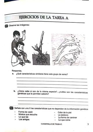 ACTIVIDAD DE GENÉTICA.pdf