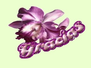 Actividad de gerencia