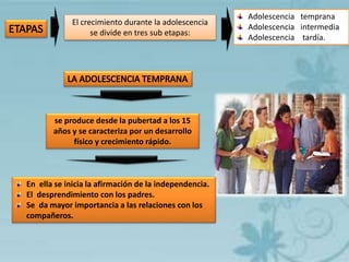 Adolescencia temprana
Adolescencia intermedia
Adolescencia tardía.
El crecimiento durante la adolescencia
se divide en tres sub etapas:
se produce desde la pubertad a los 15
años y se caracteriza por un desarrollo
físico y crecimiento rápido.
En ella se inicia la afirmación de la independencia.
El desprendimiento con los padres.
Se da mayor importancia a las relaciones con los
compañeros.
 