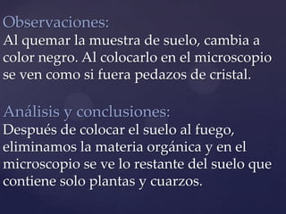 Observaciones:
Al quemar la muestra de suelo, cambia a
color negro. Al colocarlo en el microscopio
se ven como si fuera pedazos de cristal.

Análisis y conclusiones:
Después de colocar el suelo al fuego,
eliminamos la materia orgánica y en el
microscopio se ve lo restante del suelo que
contiene solo plantas y cuarzos.

 