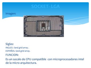 SOCKET- LGA
Imagen:




Siglas:
INGLES : land grid array .
ESPAÑOL: land grid array.
FUNCION:
Es un socalo de CPU compatible con microprocesadores intel
de la micro arquitectura.
 