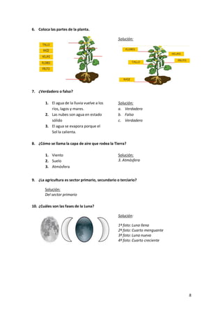 6. Coloca las partes de la planta.
Solución:

7. ¿Verdadero o falso?
1. El agua de la lluvia vuelve a los
ríos, lagos y mares.
2. Las nubes son agua en estado
sólido
3. El agua se evapora porque el
Sol la calienta.

Solución:
a. Verdadero
b. Falso
c. Verdadero

8. ¿Cómo se llama la capa de aire que rodea la Tierra?
1. Viento
2. Suelo
3. Atmósfera

Solución:
3. Atmósfera

9. ¿La agricultura es sector primario, secundario o terciario?
Solución:
Del sector primario
10. ¿Cuáles son las fases de la Luna?
Solución:
1º foto: Luna llena
2º foto: Cuarto menguante
3º foto: Luna nueva
4º foto: Cuarto creciente

8

 