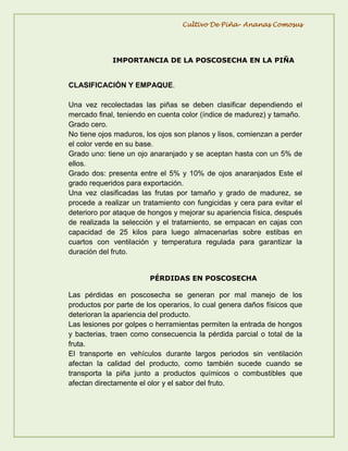 Actividad de reconocimiento del cultivo de piña | PDF