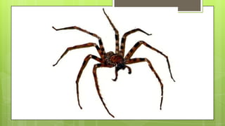 Actividad de recordar