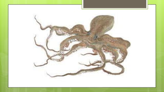 Actividad de recordar