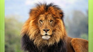 Actividad de recordar