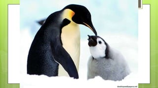 Actividad de recordar