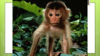 Actividad de recordar