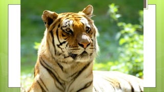 Actividad de recordar