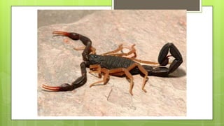 Actividad de recordar