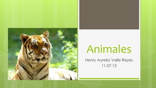 Animales
Henry Aurelio Valle Reyes
11.07.13
 