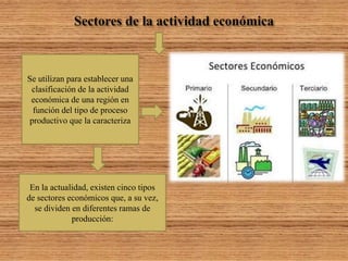 Se utilizan para establecer una
clasificación de la actividad
económica de una región en
función del tipo de proceso
productivo que la caracteriza
En la actualidad, existen cinco tipos
de sectores económicos que, a su vez,
se dividen en diferentes ramas de
producción:
 