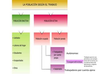 Autónomos 
Cooperativistas 
Trabajan para la coo-perativa 
y son propie-tarios 
de la misma, to-ma 
democrática de 
decisiones y reparto 
de beneficios. 
Trabajadores por cuenta ajena 
 