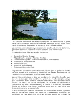 Los Servicios Ambientales del Bosque (SAB) son los beneficios que la gente
recibe de los diferentes ecosistemas forestales, ya sea de manera natural o por
medio de su manejo sustentable, ya sea a nivel local, regional o global.
Los servicios ambientales influyen directamente en el mantenimiento de la vida,
generando beneficios y bienestar para las personas y las comunidades.
Son ejemplos de servicios ambientales del bosque:
 Captación y filtración de agua;
 Mitigación de los efectos del cambio climático;
 Generación de oxígeno y asimilación de diversos contaminantes;
 Protección de la biodiversidad;
 Retención de suelo;
 Refugio de fauna silvestre;
 Belleza escénica, entre otros.
Regularmente, los servicios ambientales son gratuitos para la gente que disfruta
de ellos, mientas que los dueños y poseedores de terrenos forestales que los
proveen no son compensados en forma alguna por ello.
Los servicios ambientales se dice que son beneficios intangibles (aquellos que
sabemos existen, pero cuya cuantificación y valoración resultan complicadas) ya
que, a diferencia de los bienes o productos ambientales, como es el caso de la
madera, los frutos y las plantas medicinales de los cuales nos beneficiamos
directamente, los servicios ambientales no se “utilizan” o “aprovechan” de manera
directa, sin embargo nos otorgan beneficios, como tener un buen clima, aire
limpio, o simplemente un paisaje bello.
Si bien el concepto servicios ambientales es relativamente reciente y permite
tener un enfoque más integral para interactuar con el entorno, en realidad las
sociedades se han beneficiado de dichos servicios desde sus orígenes, la
 