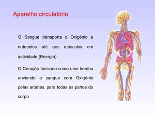 Aparelho circulatório O Sangue transporta o Oxigénio e nutrientes até aos músculos em actividade (Energia) O Coração funciona como uma bomba enviando o sangue com Oxigénio pelas artérias, para todas as partes do corpo 