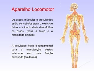 Aparelho Locomotor Os ossos, músculos e articulações estão concebidos para o exercício físico – a inactividade descalcifica os ossos, reduz a força e a mobilidade articular. A actividade física é fundamental para a manutenção destas estruturas com uma função adequada (em forma). 