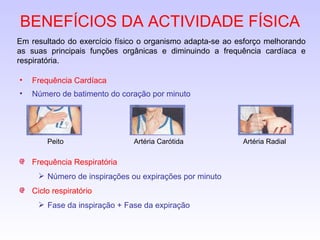 BENEFÍCIOS DA ACTIVIDADE FÍSICA Em resultado do exercício físico o organismo adapta-se ao esforço melhorando as suas principais funções orgânicas e diminuindo a frequência cardíaca e respiratória. Frequência Cardíaca Número de batimento do coração por minuto Frequência Respiratória Número de inspirações ou expirações por minuto Ciclo respiratório Fase da inspiração + Fase da expiração Artéria Radial Peito Artéria Carótida 