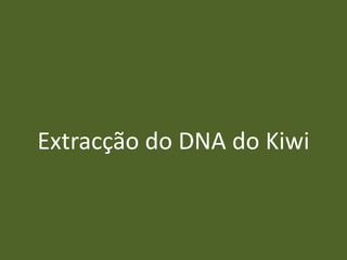 Extracção do DNA do Kiwi
 