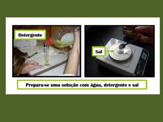 Actividade laboratorial "Extracção do DNA do kiwi"