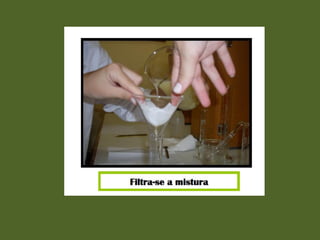 Actividade laboratorial "Extracção do DNA do kiwi"