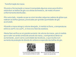 Transformação da massa:

•Durante a fermentação a massa é manipulada algumas vezes para dividir e
redistribuir as bolhas de gás e as células da levedura , de modo a ficarem
uniformemente distribuídas .

•Por outro lado , impede-se que se criem tensões nalgumas cadeias de glúten que
rodeiam as bolhas gasosas, provocadas por grandes quantidades de gás
acumulado.
                     .
•Quando a massa atinge o volume desejado , é metida no forno , a temperaturas
entre os 200ºC e os 220ºC , e inicia-se a fase da cozedura.

•Nesta fase verifica-se um grande aumento de volume da massa , pois à medida
que o calor vai sendo conduzido através da massa , a temperatura desta vai
aumentando , assim como a actividade das leveduras , o que resulta num
aumento da produção de dióxido de carbono e expansão das bolhas de gás.
 