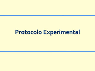 Protocolo Experimental
 