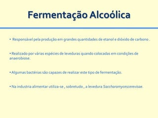 Fermentação Alcoólica

• Responsável pela produção em grandes quantidades de etanol e dióxido de carbono .


• Realizado por várias espécies de leveduras quando colocadas em condições de
anaerobiose.


• Algumas bactérias são capazes de realizar este tipo de fermentação.


• Na industria alimentar utiliza-se , sobretudo , a levedura Saccharomycescerevisae.
 