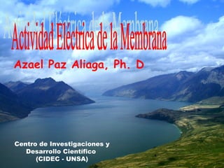 Azael Paz Aliaga, Ph. D




Centro de Investigaciones y
   Desarrollo Científico
      (CIDEC - UNSA)
 