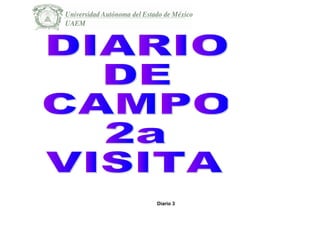 Diario 3
 