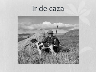 Ir de caza

 